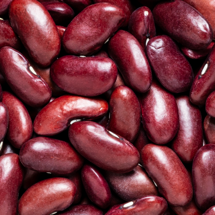 Kidney Beans