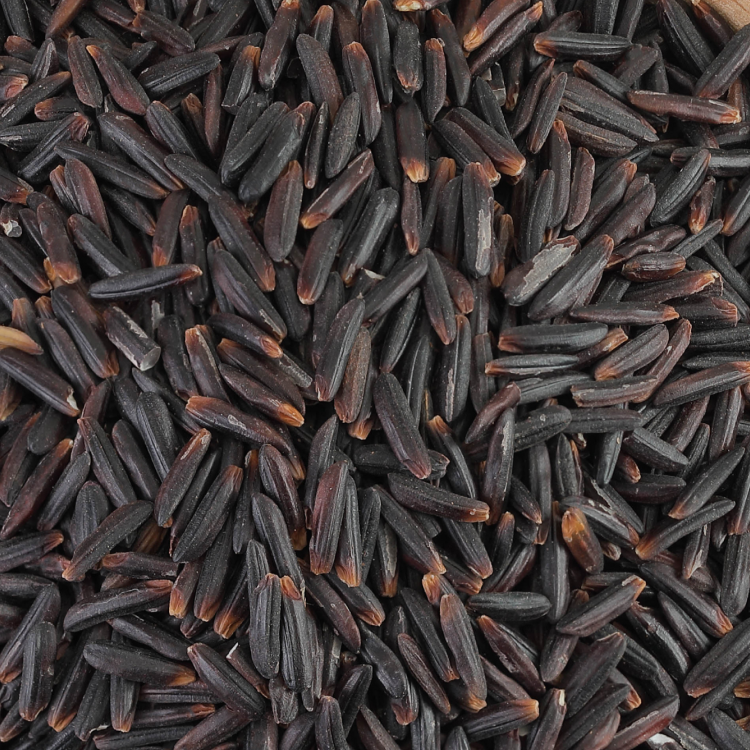Wild Rice