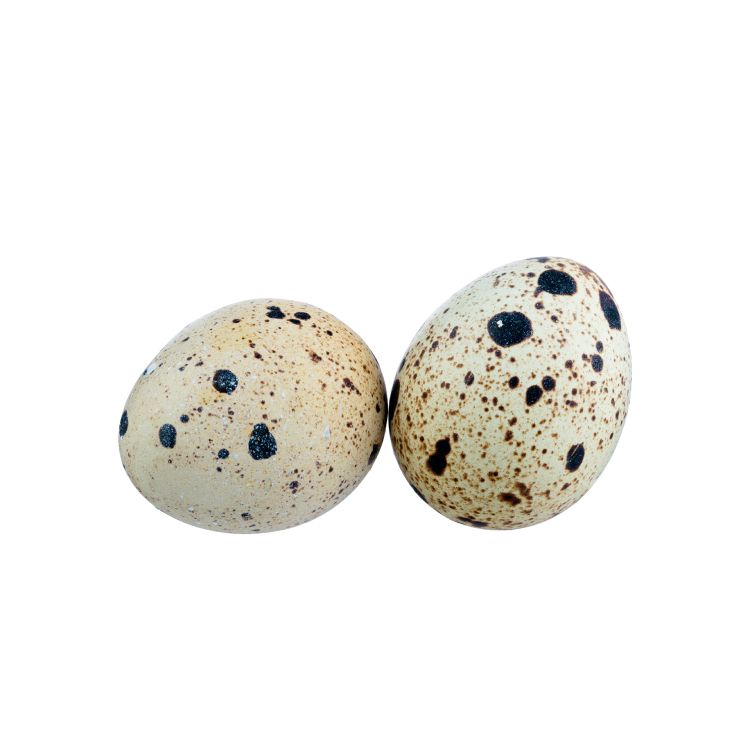 Quail Eggs