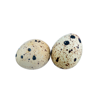 Quail Eggs