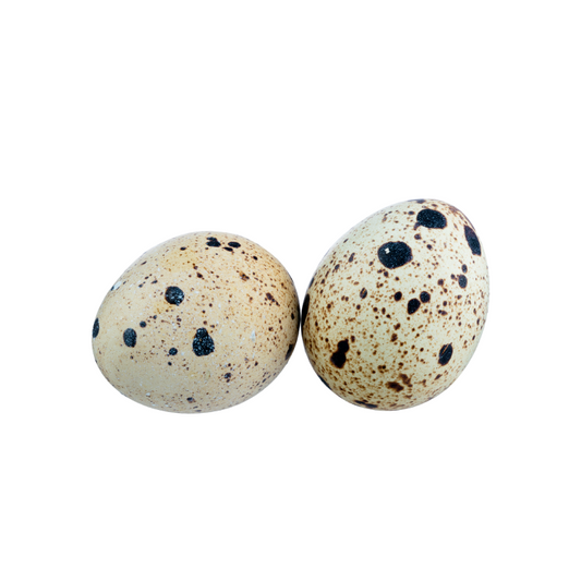 Quail Eggs