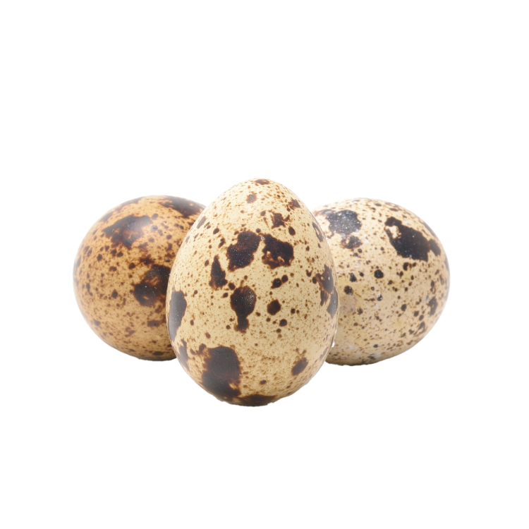 Quail Eggs