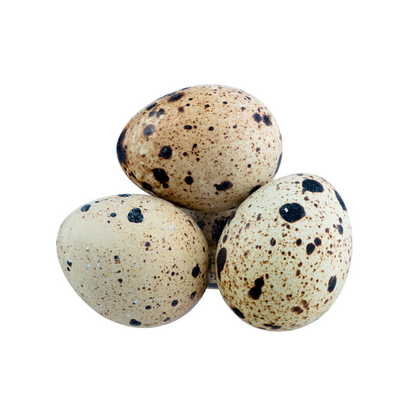 Quail Eggs