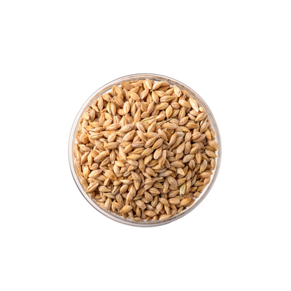 Barley
