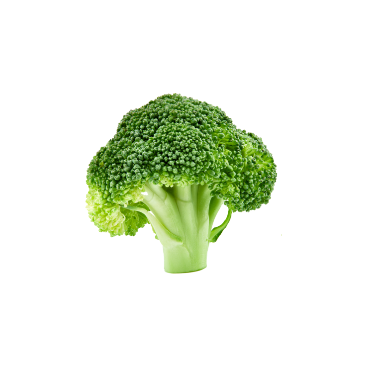 Broccoli