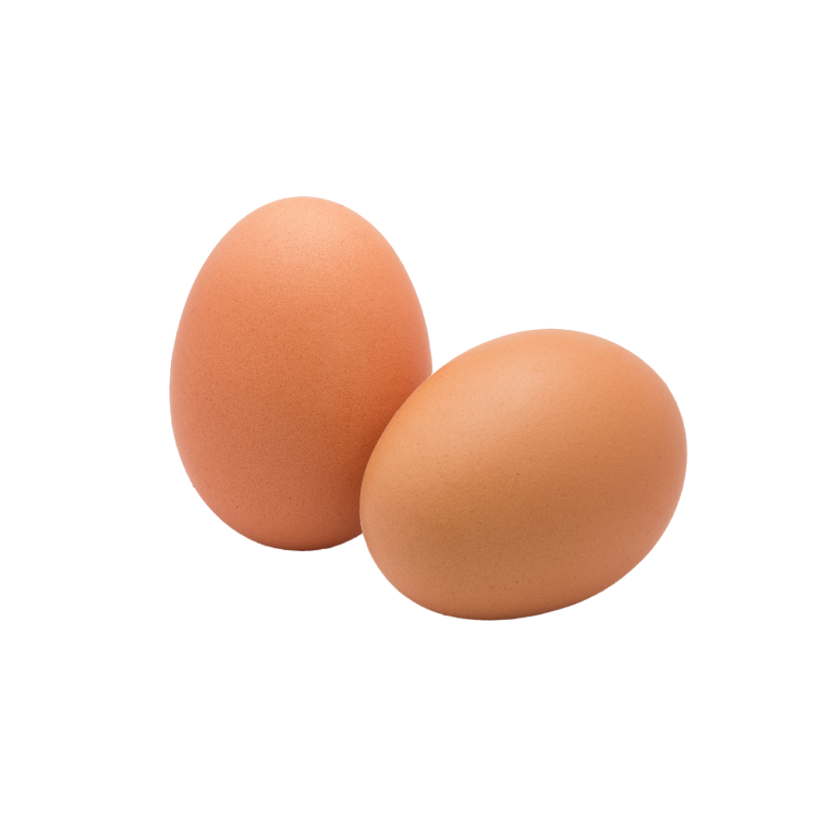 Brown Eggs