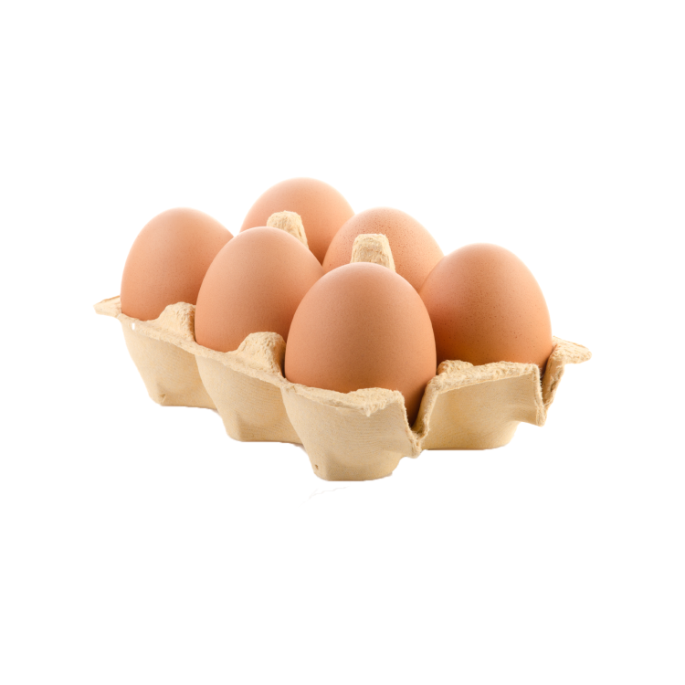 Brown Eggs