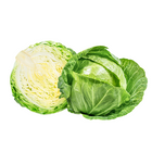 Cabbage
