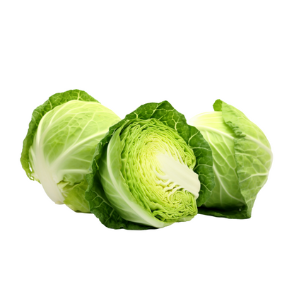 Cabbage