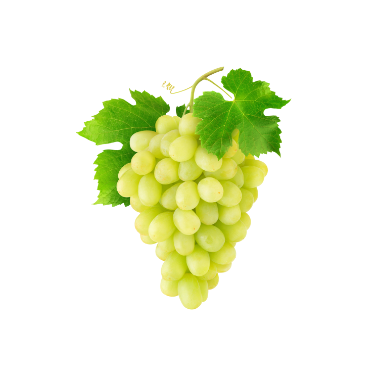 Grapes
