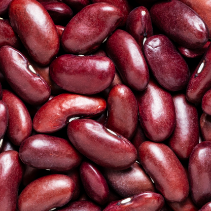Kidney Beans
