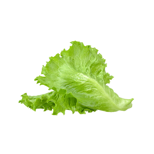 Lettuce