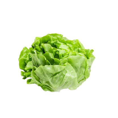 Lettuce