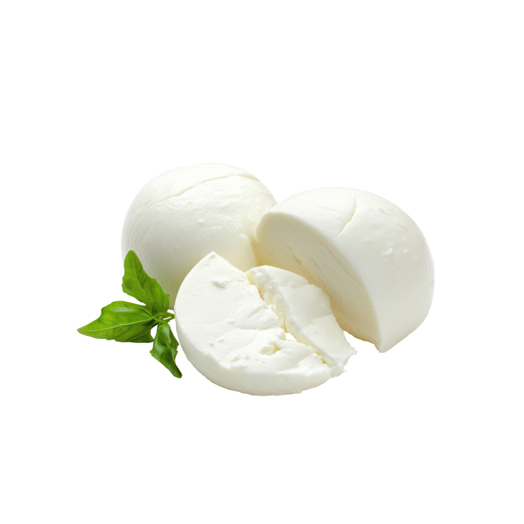 Mozzarella Cheese