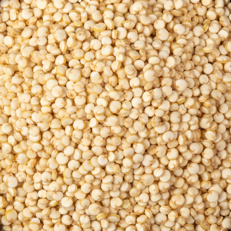 Quinoa