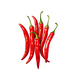 Chilli