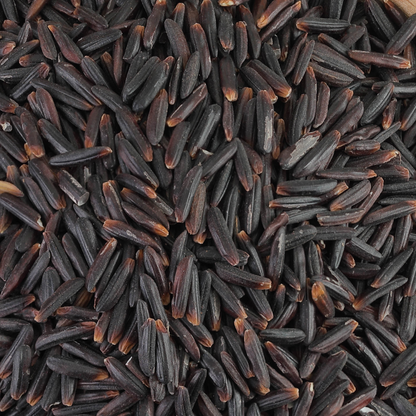 Wild Rice